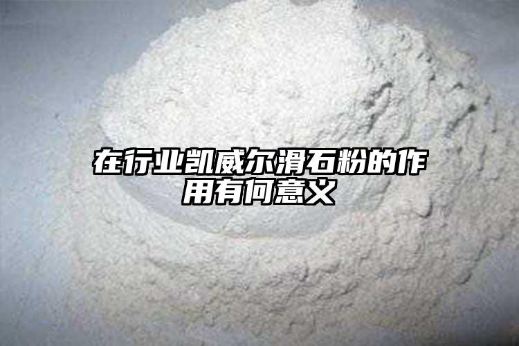 在行业向日葵视频污下载安装向日葵视频色板在线看官方网站的作用有何意义